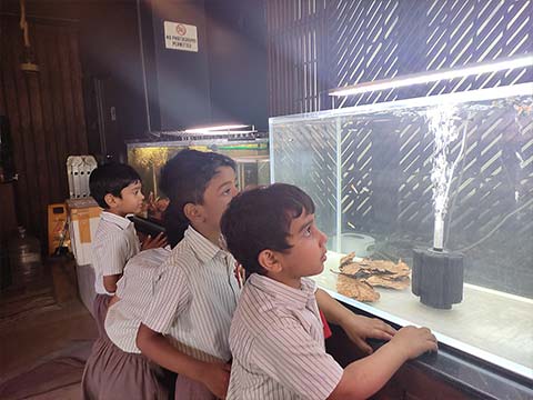 KG1 Visit to the Aquarium - 6