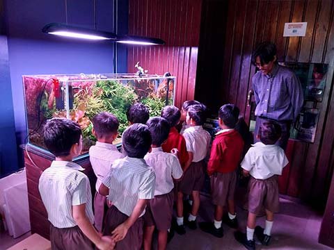 KG1 Visit to the Aquarium - 8