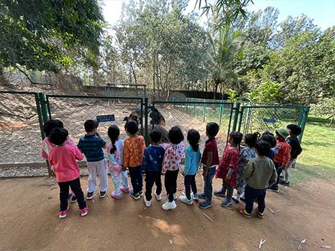 Montessori visit to farm - 9