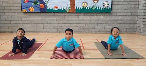 International Yoga Day - 12
