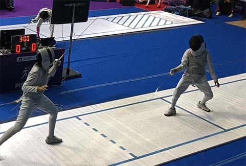 Vinya Vaasuki Fences - 2