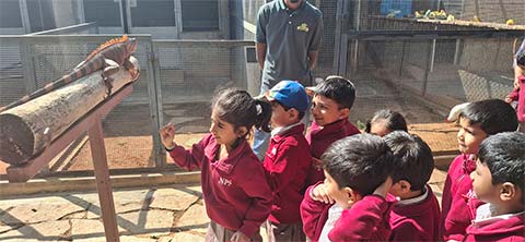 Kindergarten Picket Fence Farm Visit - 1