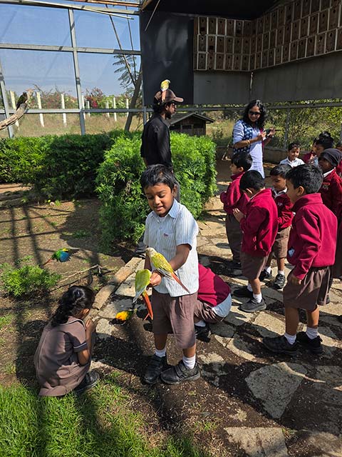 Kindergarten Picket Fence Farm Visit - 16