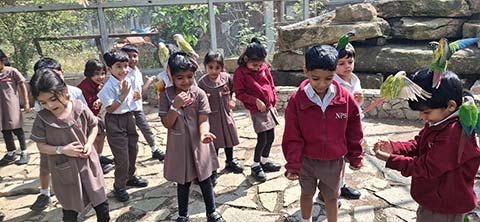 Kindergarten Picket Fence Farm Visit - 2
