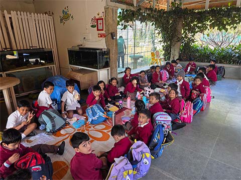 Kindergarten Picket Fence Farm Visit - 4