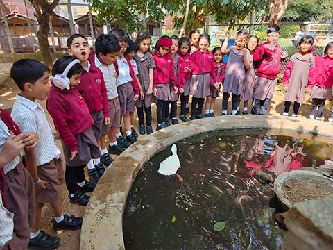 Kindergarten Picket Fence Farm Visit - 5