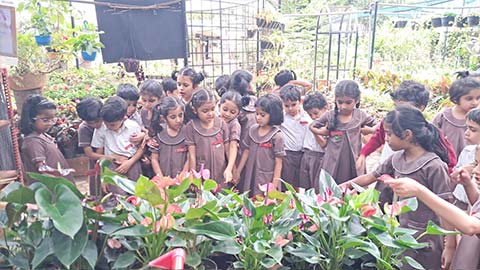 KG Plant Nursery Visit - 4