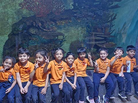 Montessori Aquarium Visit - 11