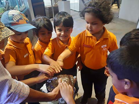 Montessori Aquarium Visit - 3