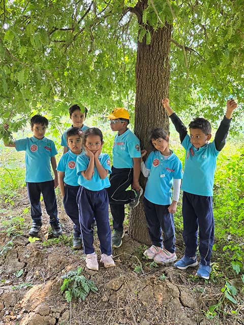  Montessori - Visit to a Strawberry Farm - 1