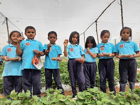  Montessori - Visit to a Strawberry Farm - 10