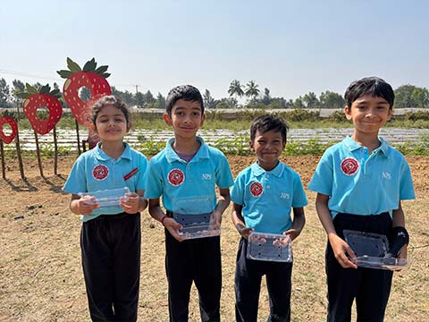  Montessori - Visit to a Strawberry Farm - 11