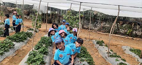  Montessori - Visit to a Strawberry Farm - 14