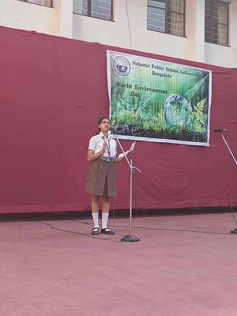 World Environment Day 2025 - 2