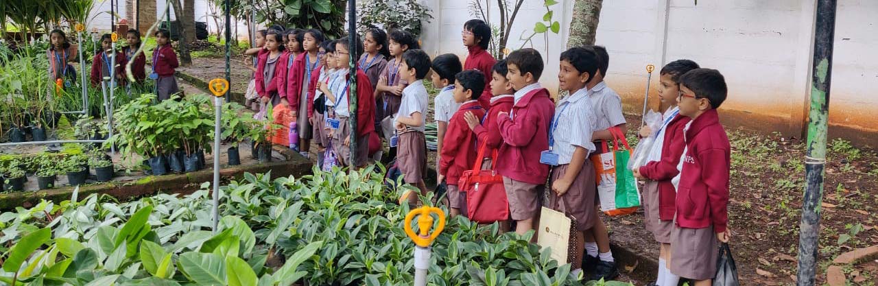 Grade 1 Field Trip - 0