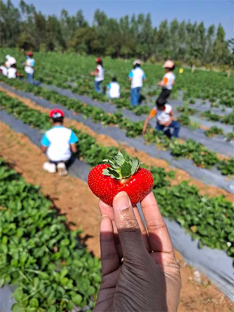 Grade 2 Field Trip - 1