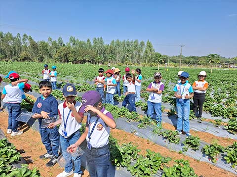 Grade 2 Field Trip - 9