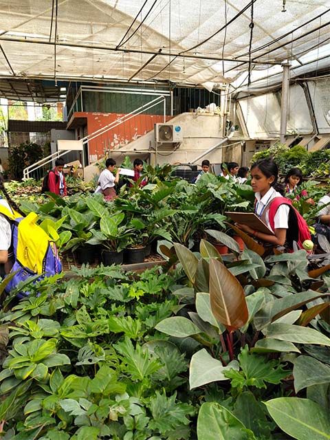 Grade 4 Field Trip - 10