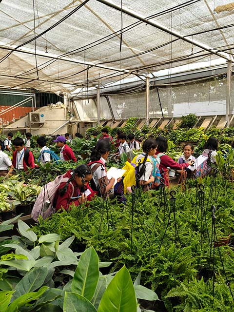 Grade 4 Field Trip - 11