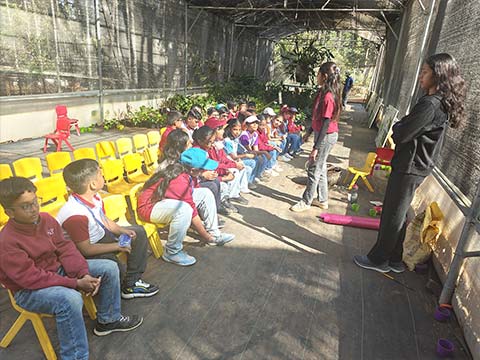 Grade 4 Field Trip - 6