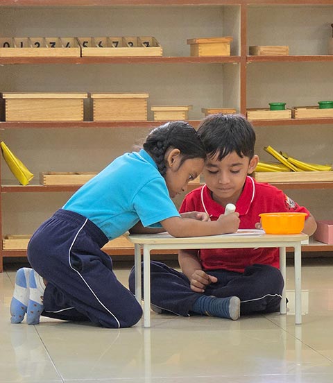 Dr. Maria Montessori’s birth anniversary 2026 - 11