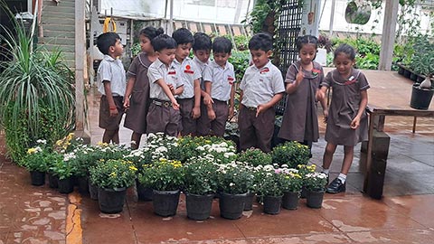 KG2 Field trip to Plant nursery 2026 - 2