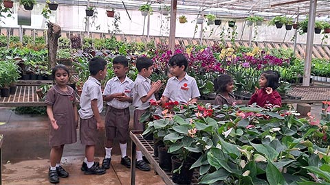 KG2 Field trip to Plant nursery 2026 - 3