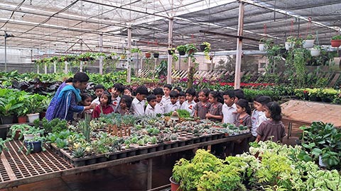 KG2 Field trip to Plant nursery 2026 - 6