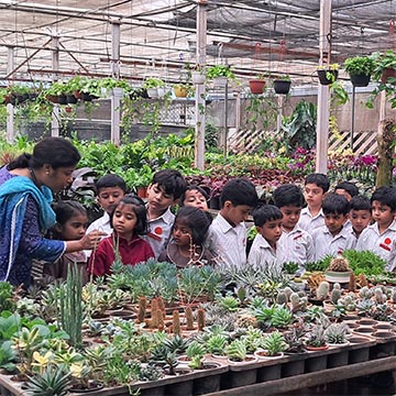 KG 2 Field trip to Plant nursery